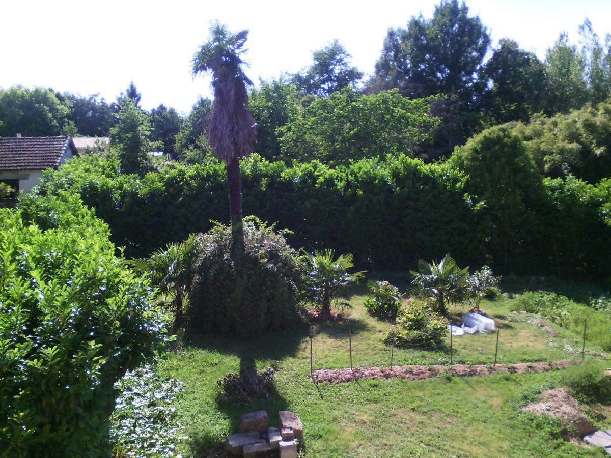 Maison d'hôtes l'Ancien Patronage à Caumont-sur-Garonne Extérieur photo