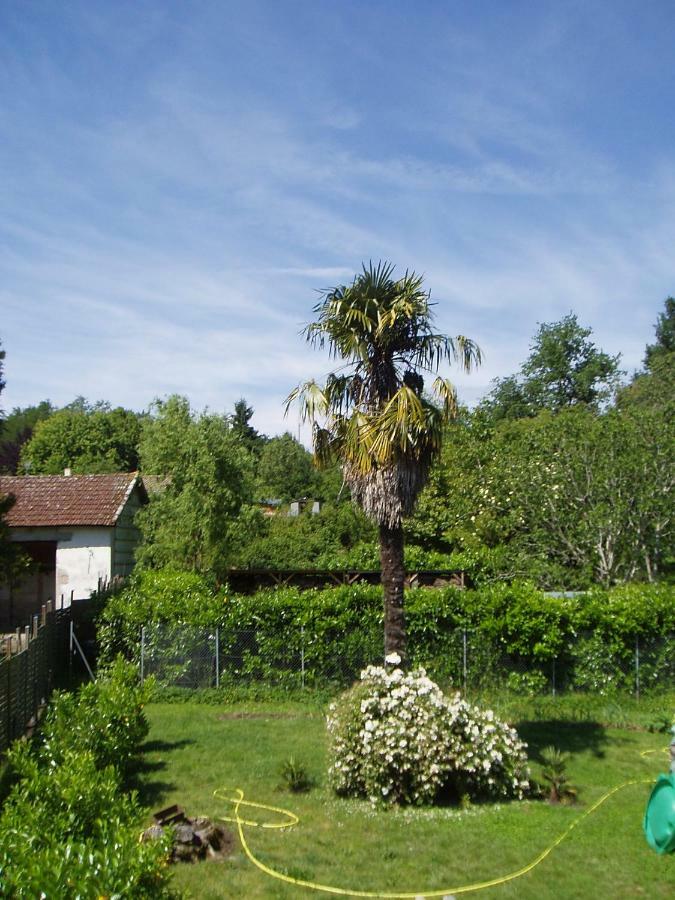 Maison d'hôtes l'Ancien Patronage à Caumont-sur-Garonne Extérieur photo